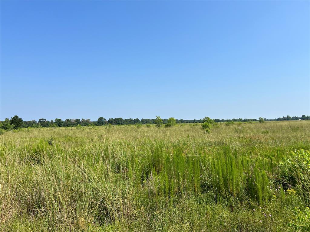 a view of lake and green space