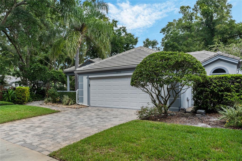 a house that has a tree in front of it