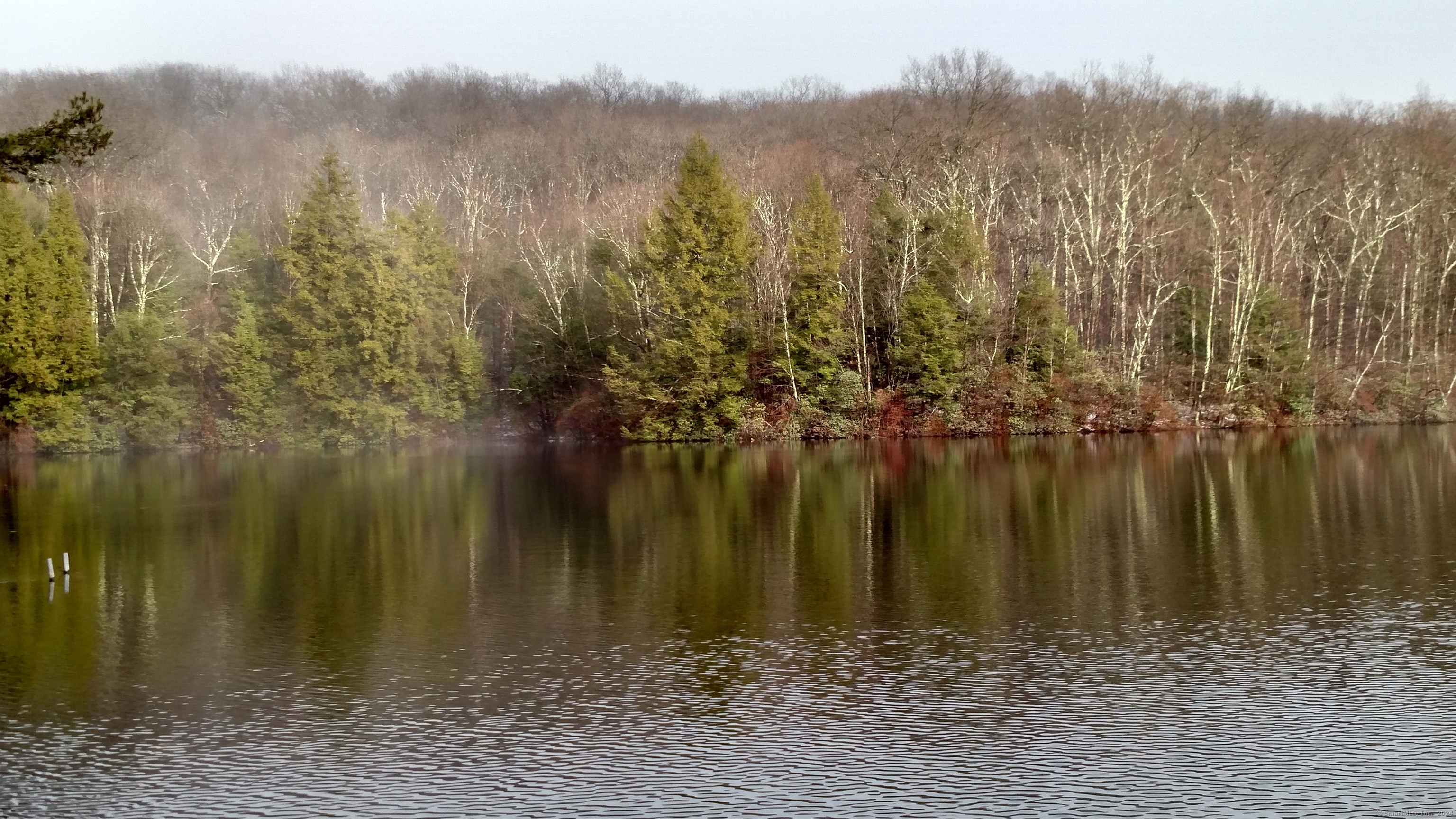 a view of lake