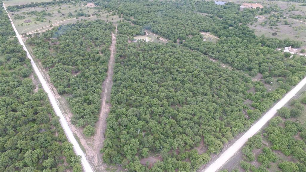 a view of a forest from a balcony