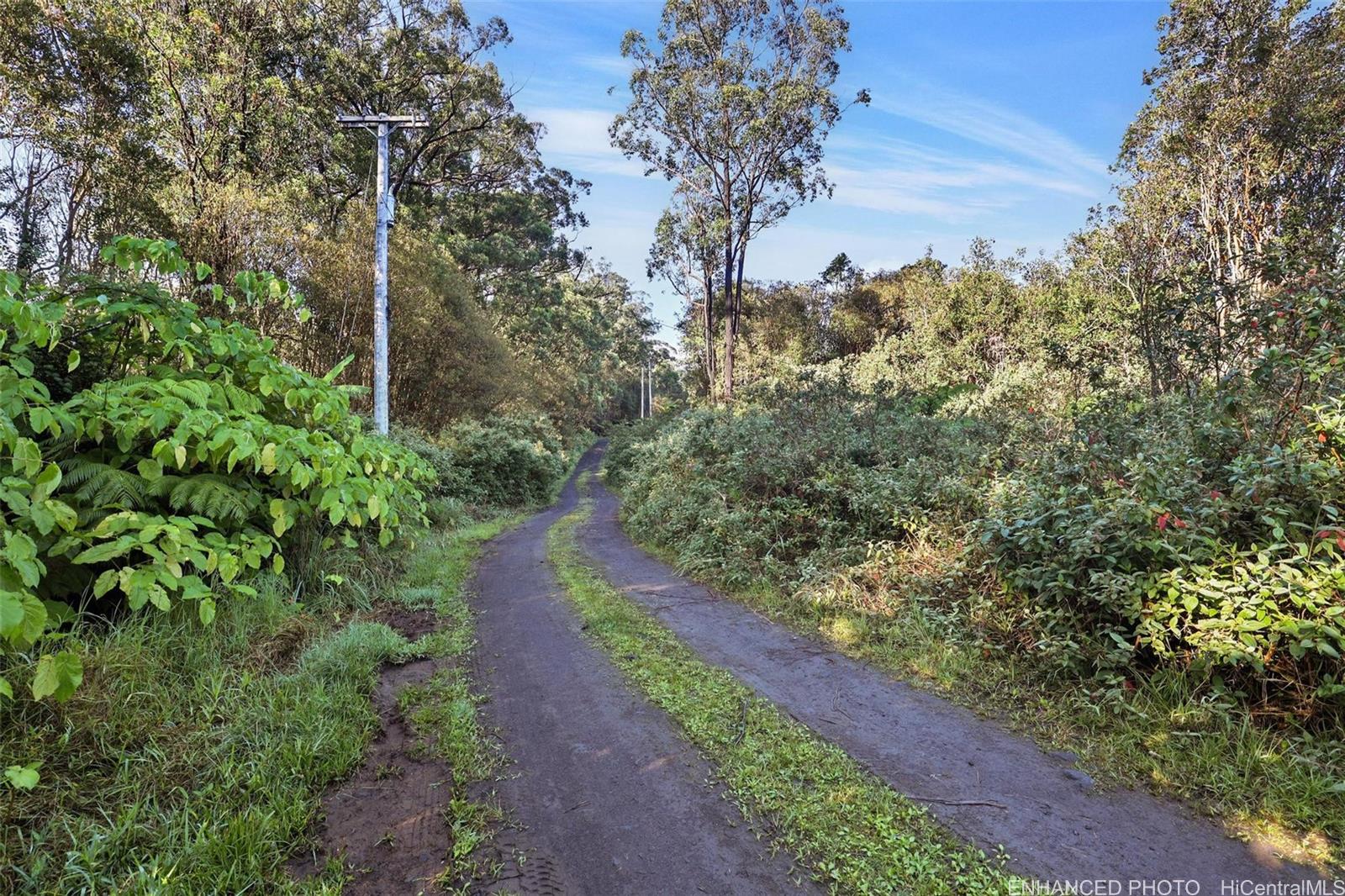 a view of a pathway both side of yard