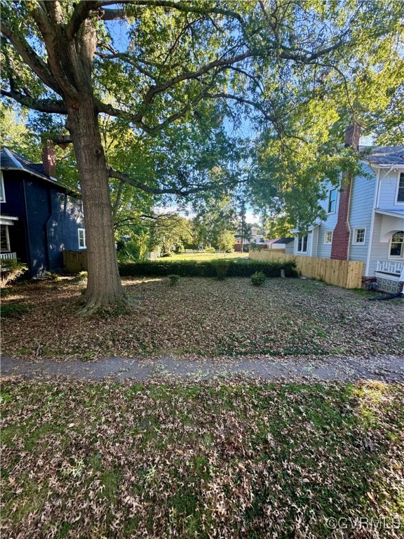 a view of a yard with large tree