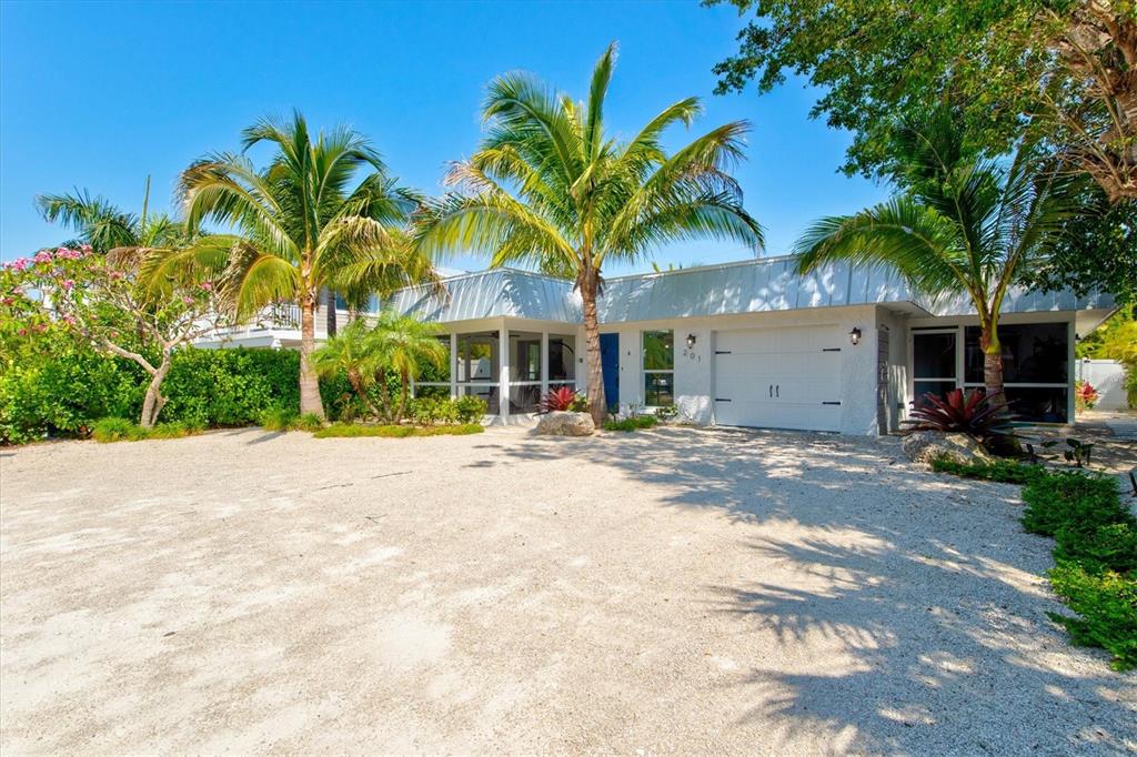 a couple of palm trees in front of house