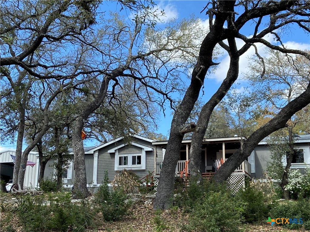 a front view of a house with a tree