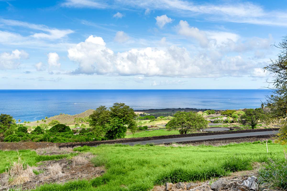 a view of a yard with an ocean