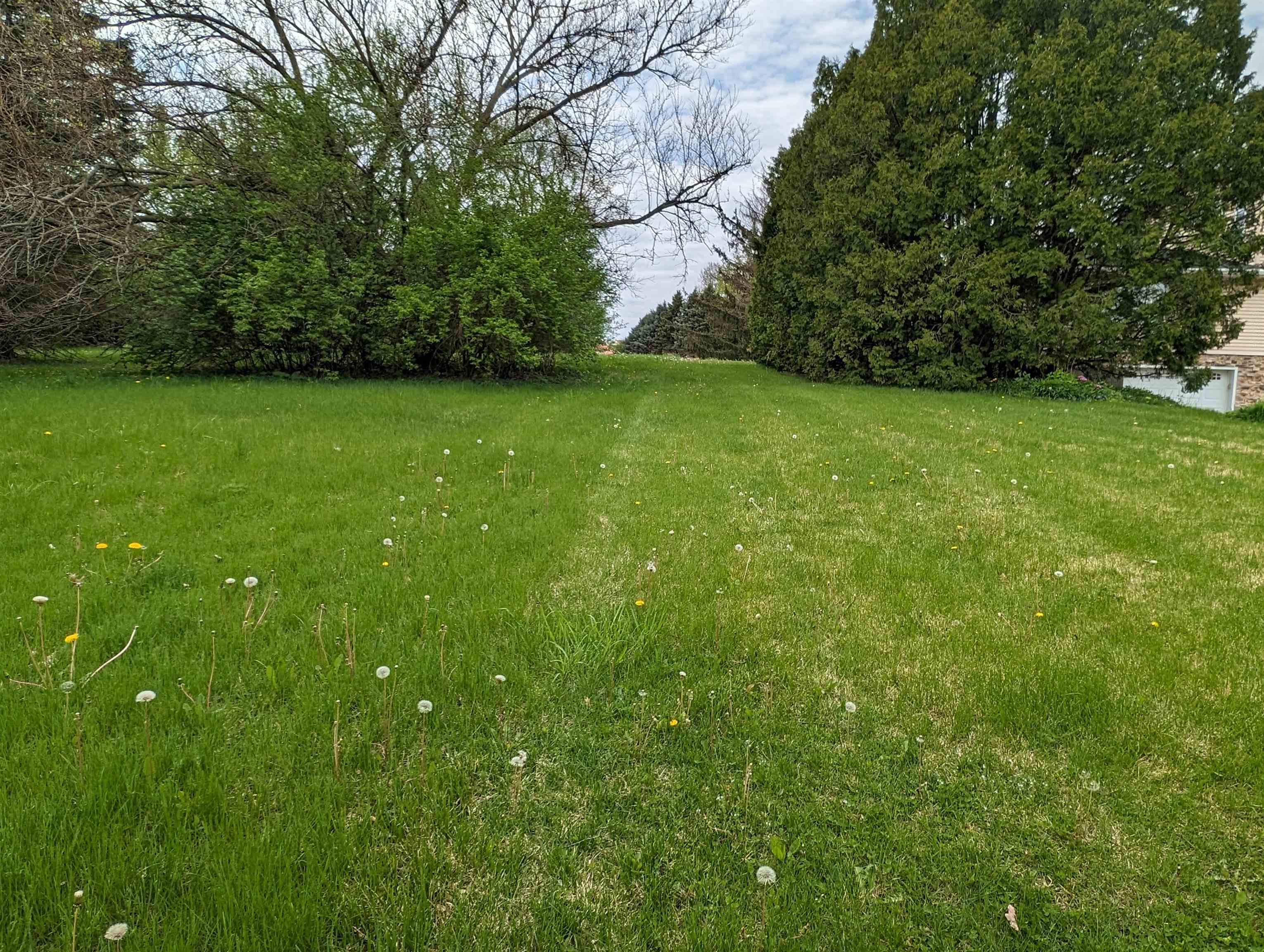 a view of yard with swimming pool and green space