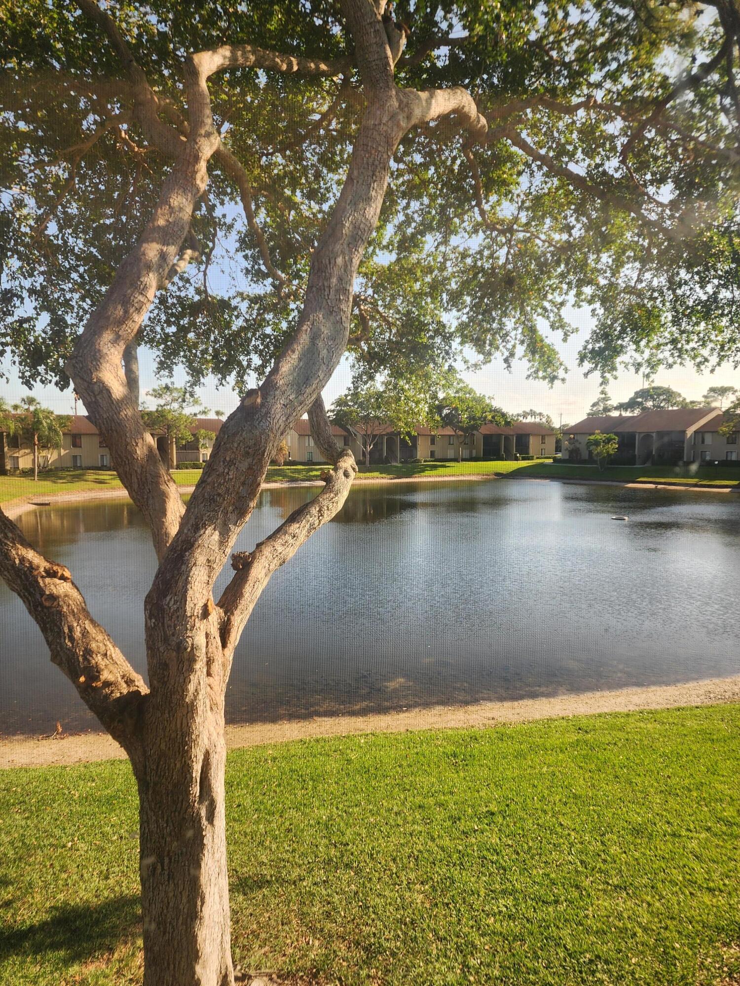 a view of lake