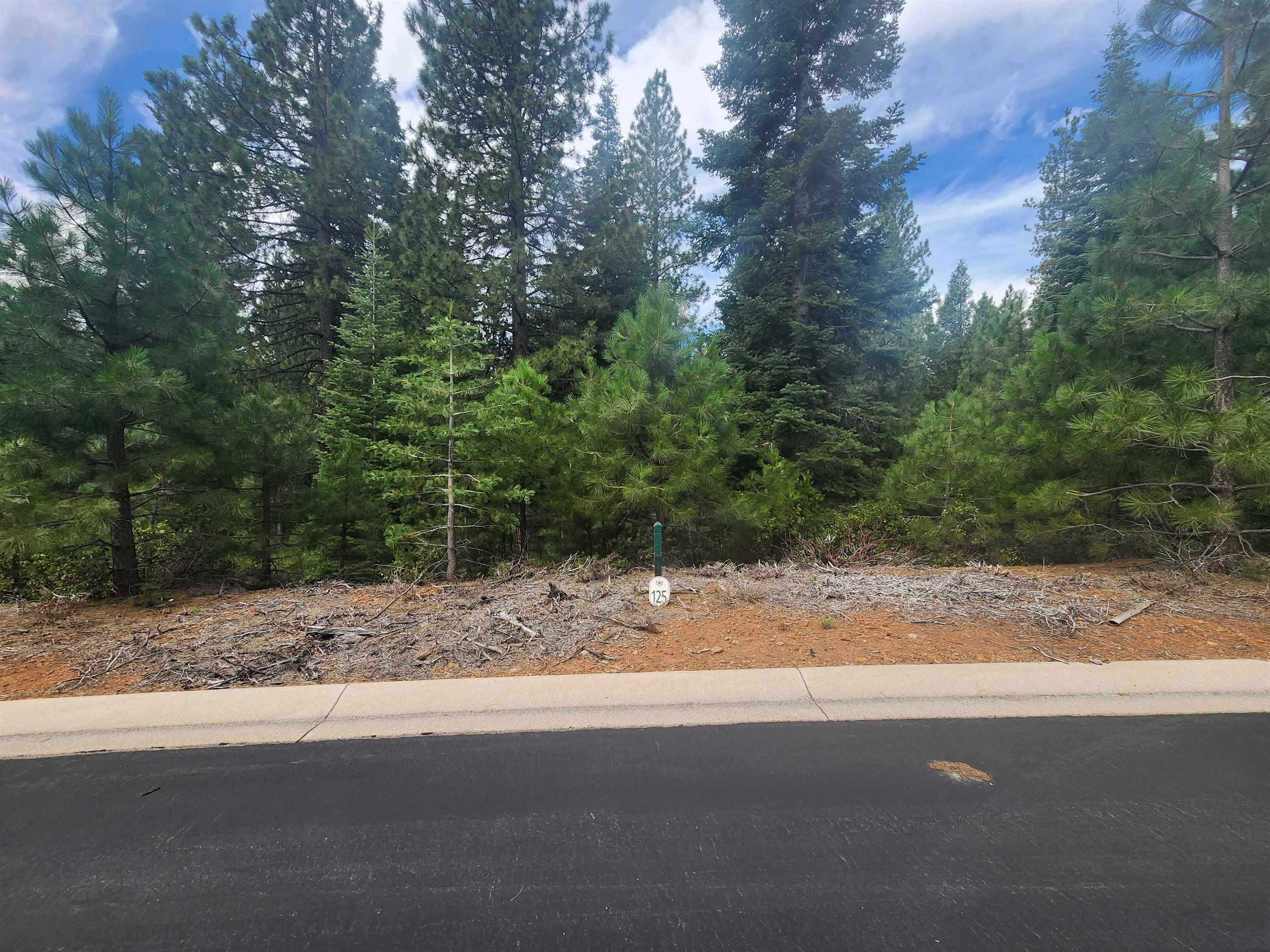 a view of a yard with a tree