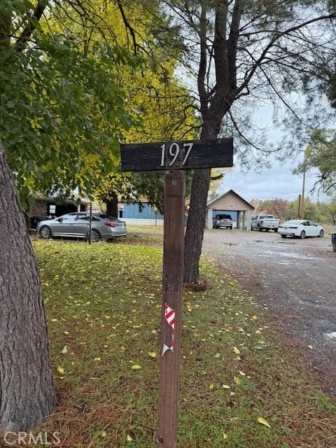 a tree in the middle of a yard