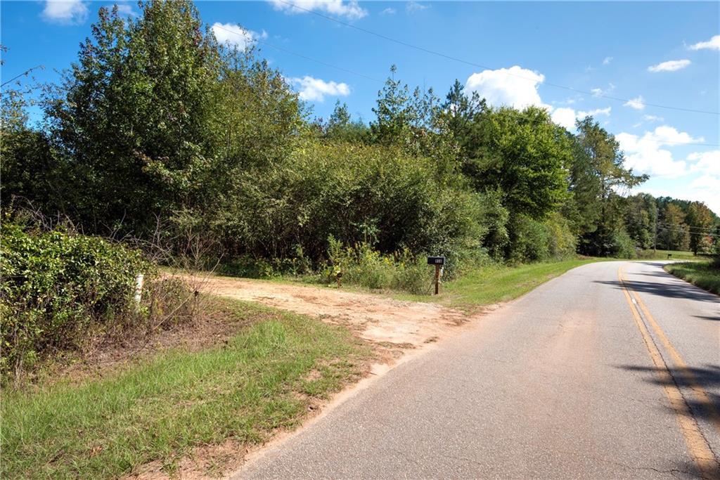 a view of a road with a yard and large trees