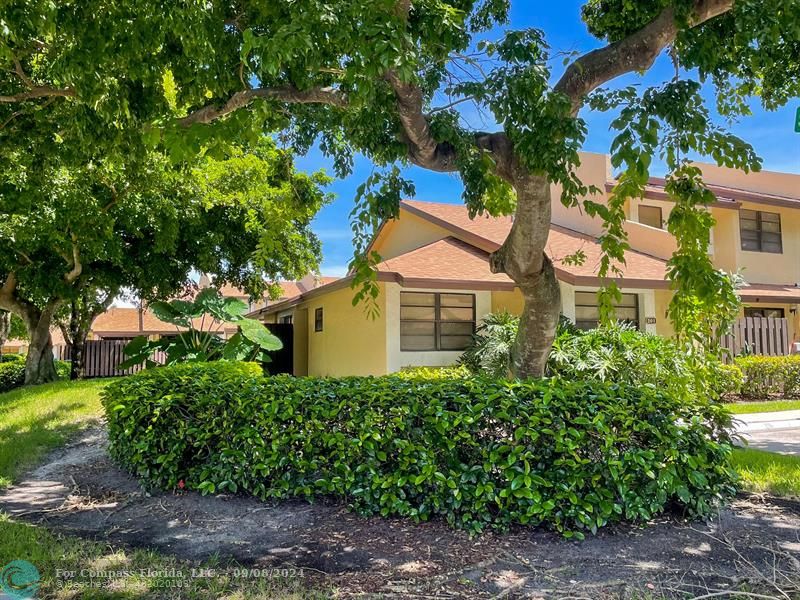 a view of a house with a tree and garden