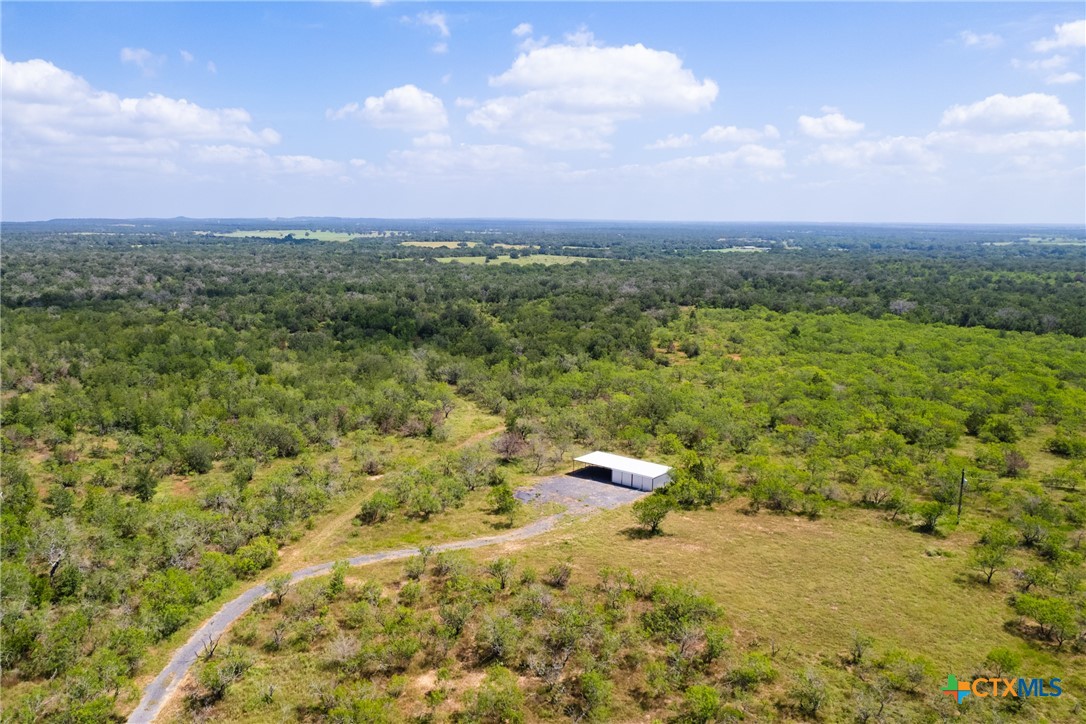 a view of a big yard with lots of trees