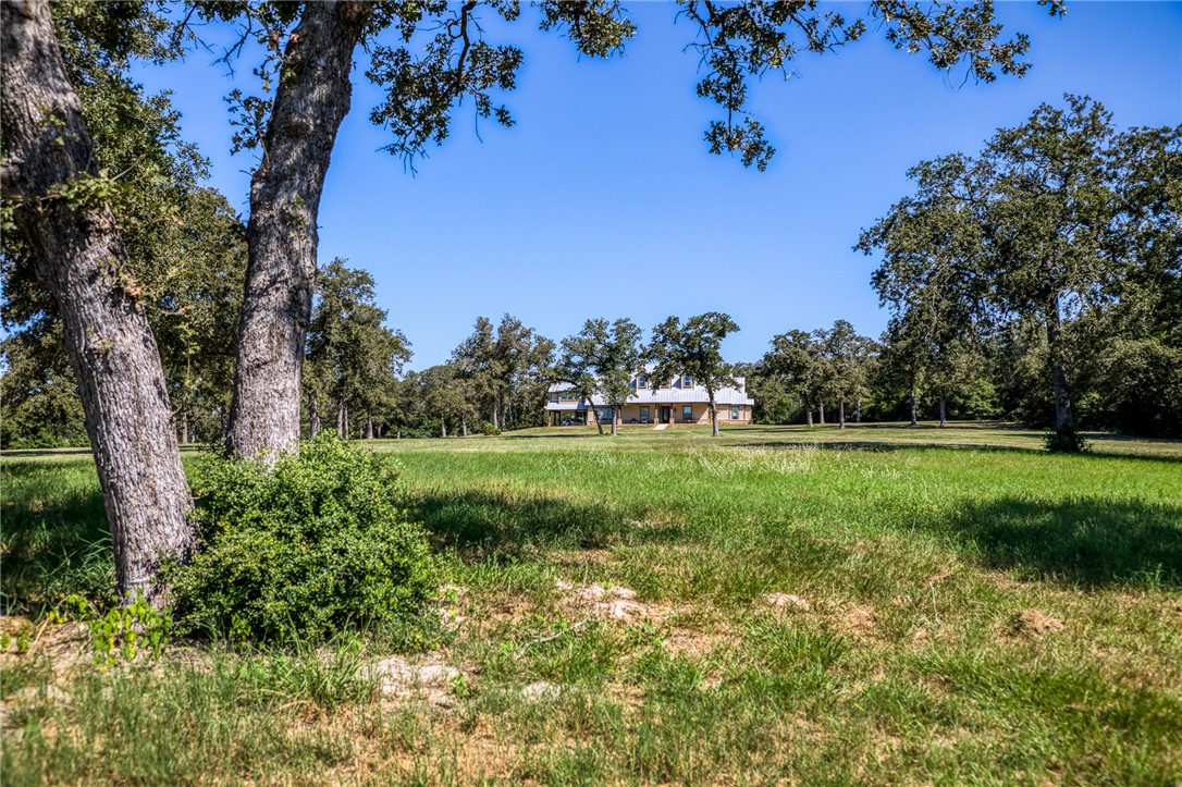 a view of yard with green space