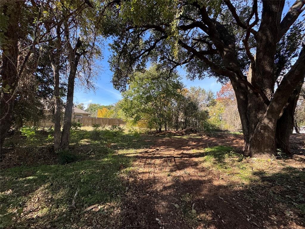 a view of a tree in a yard