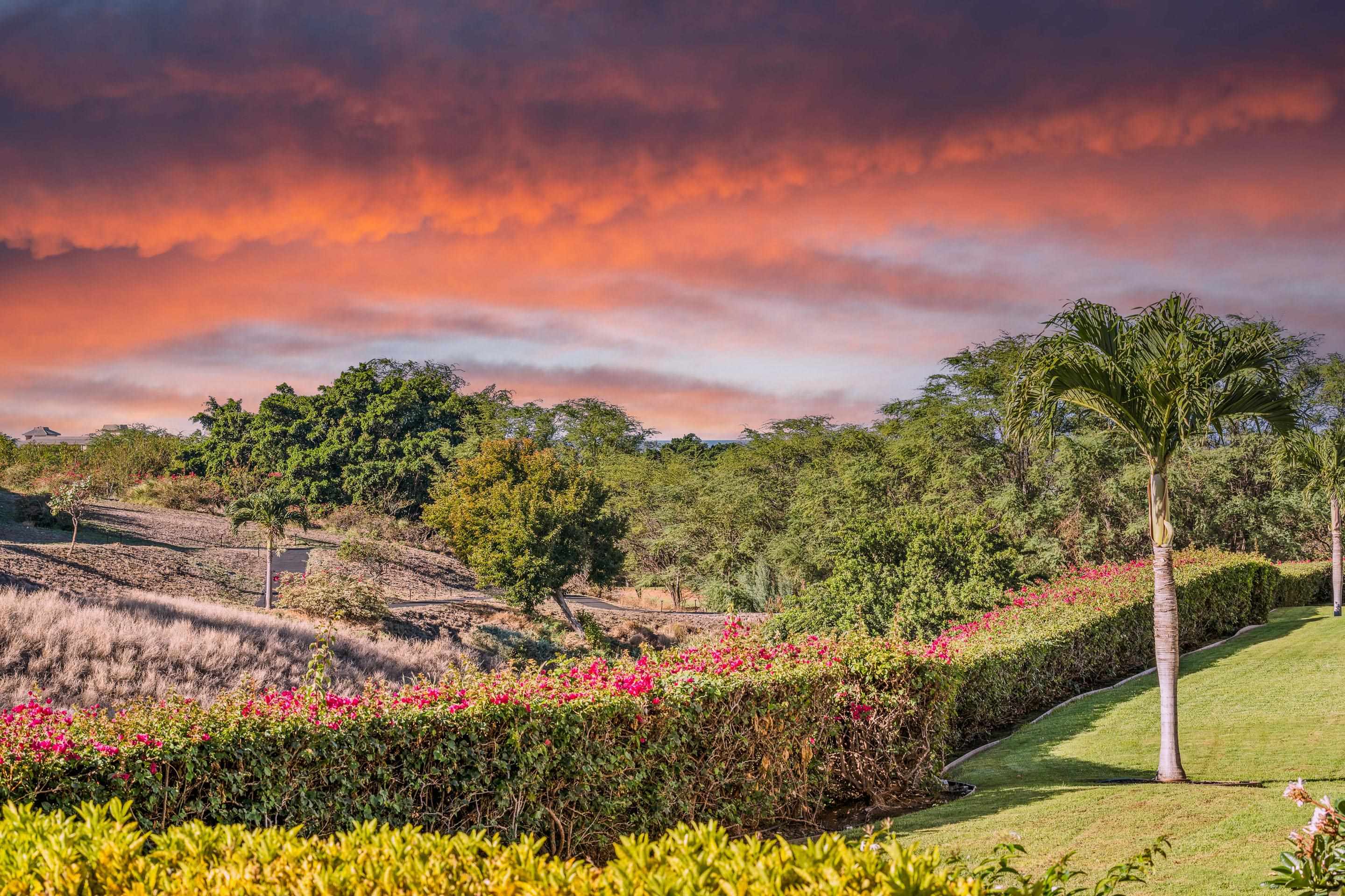 a view of a bunch of flowers and trees