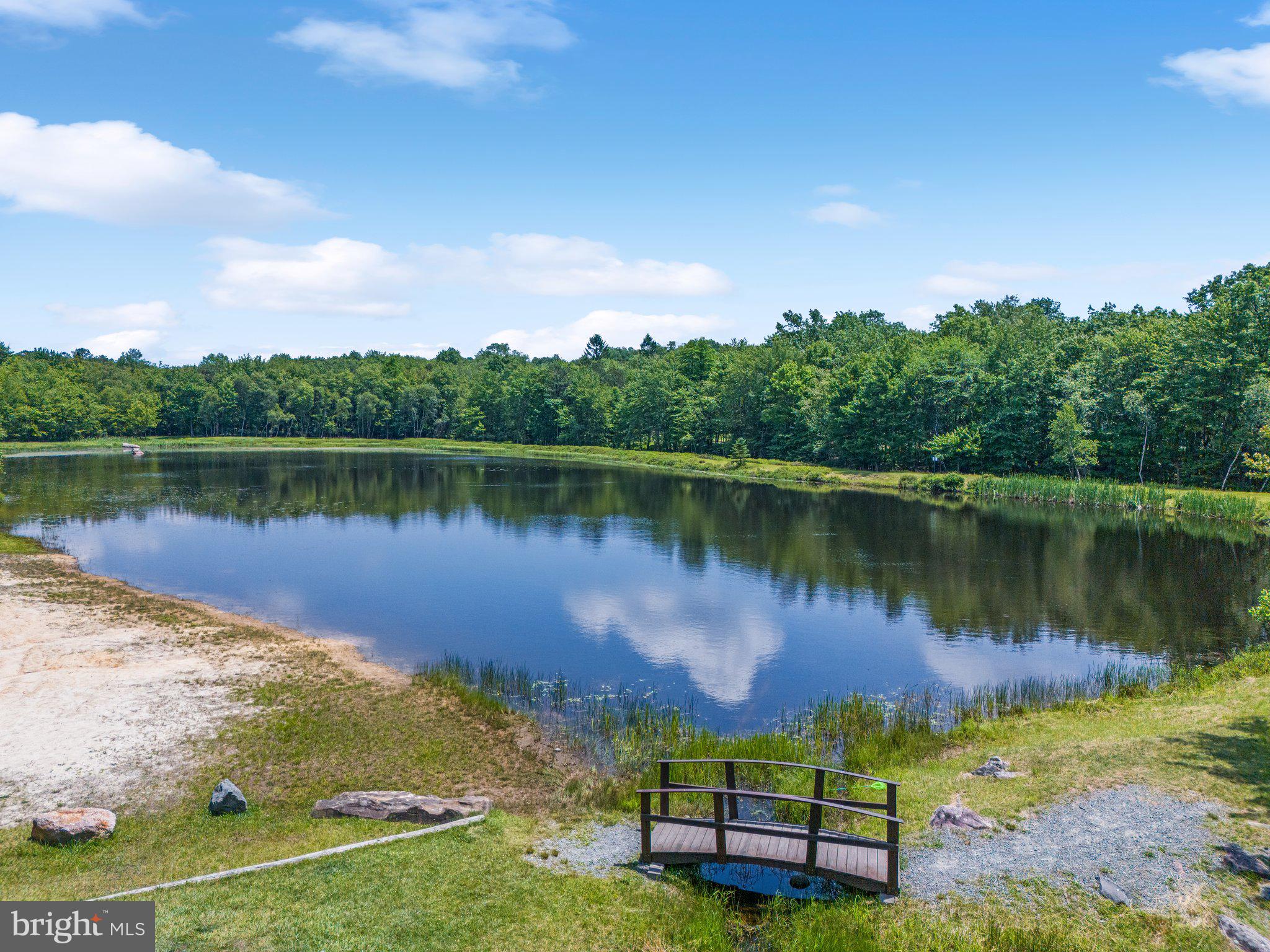 a view of a lake with a yard and large trees