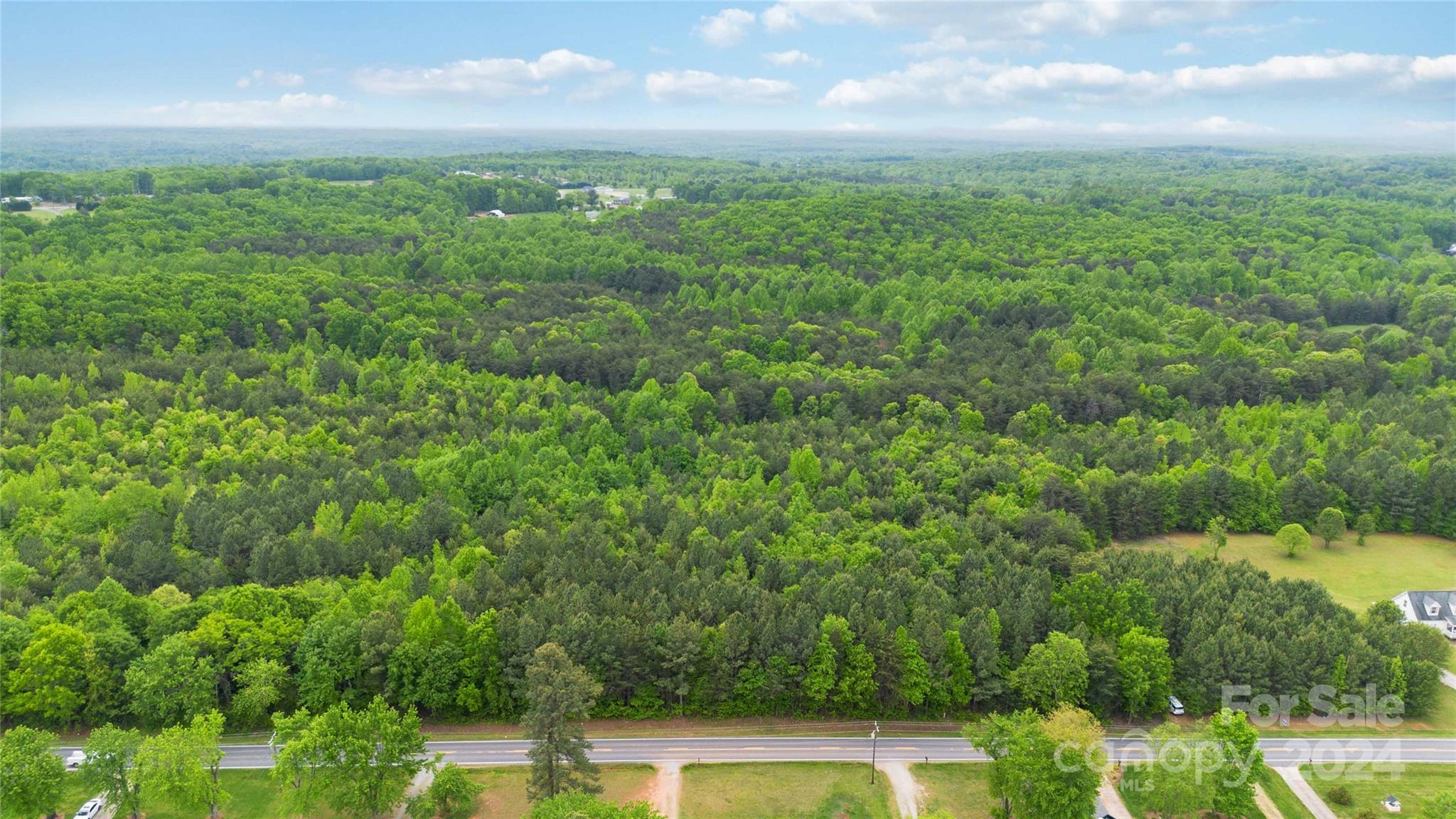 a view of a big yard with plants and large trees