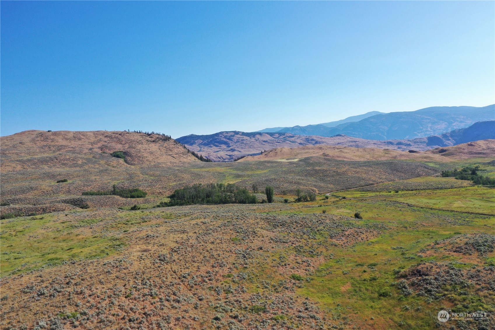 a view of a dry field with mountains in the background