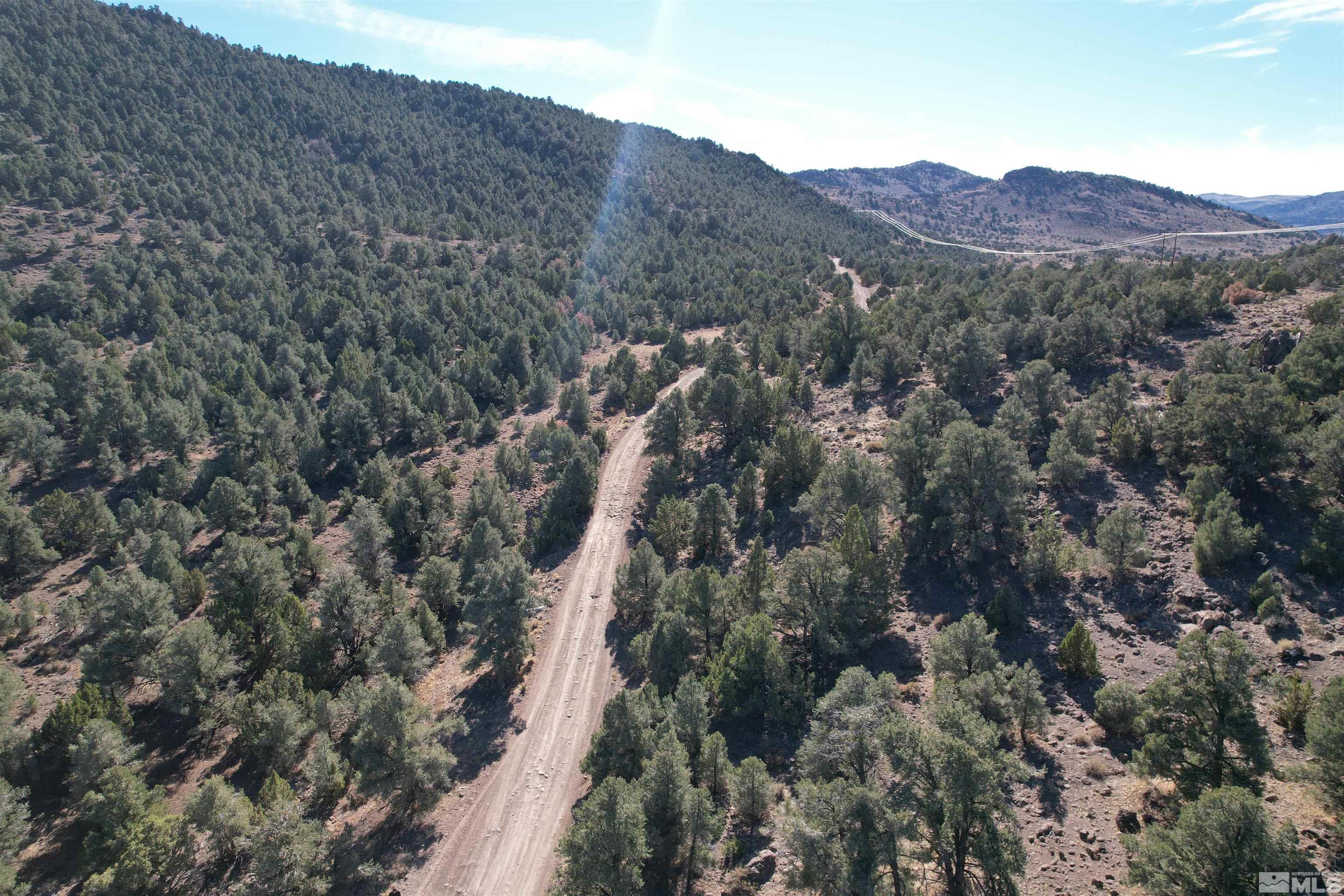 a view of a forest with mountains in the background