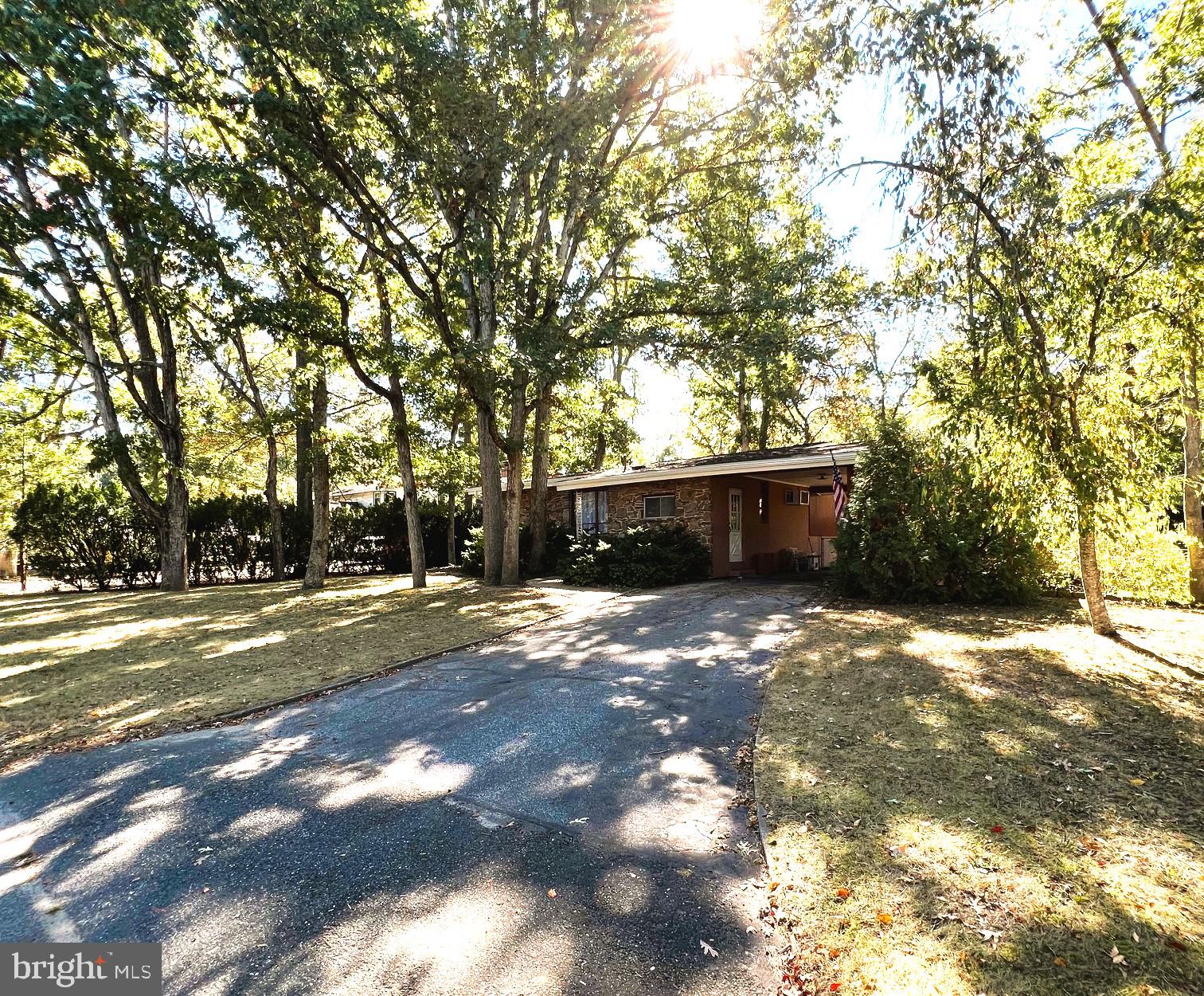 a view of a trees with yard