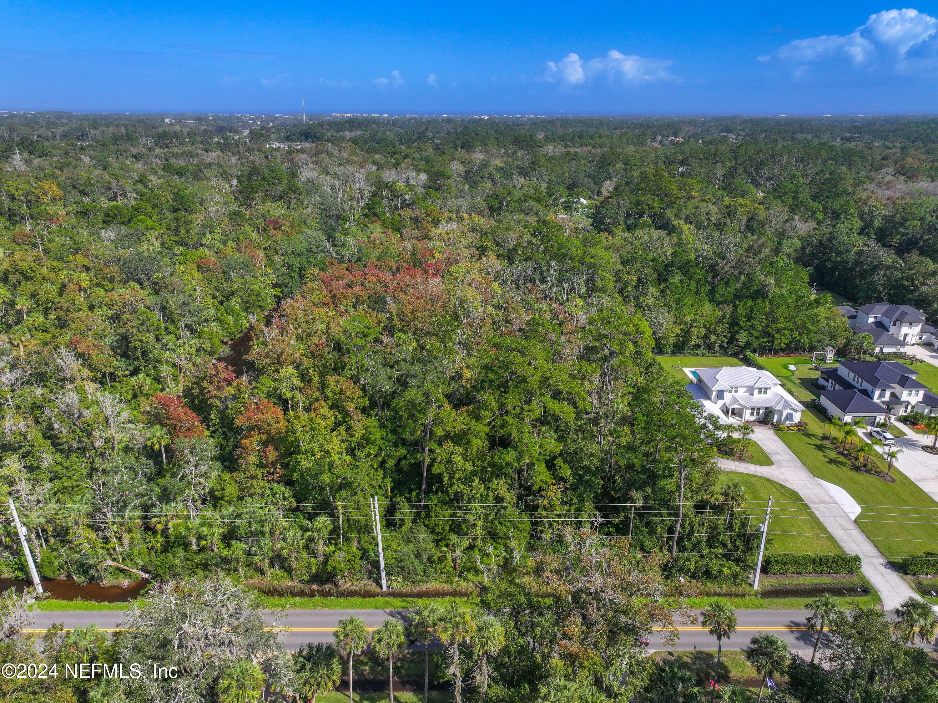 a view of a yard with an trees