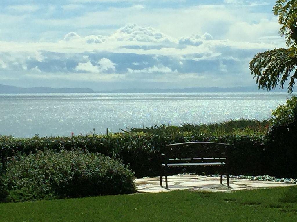 a view of a park with an outdoor space