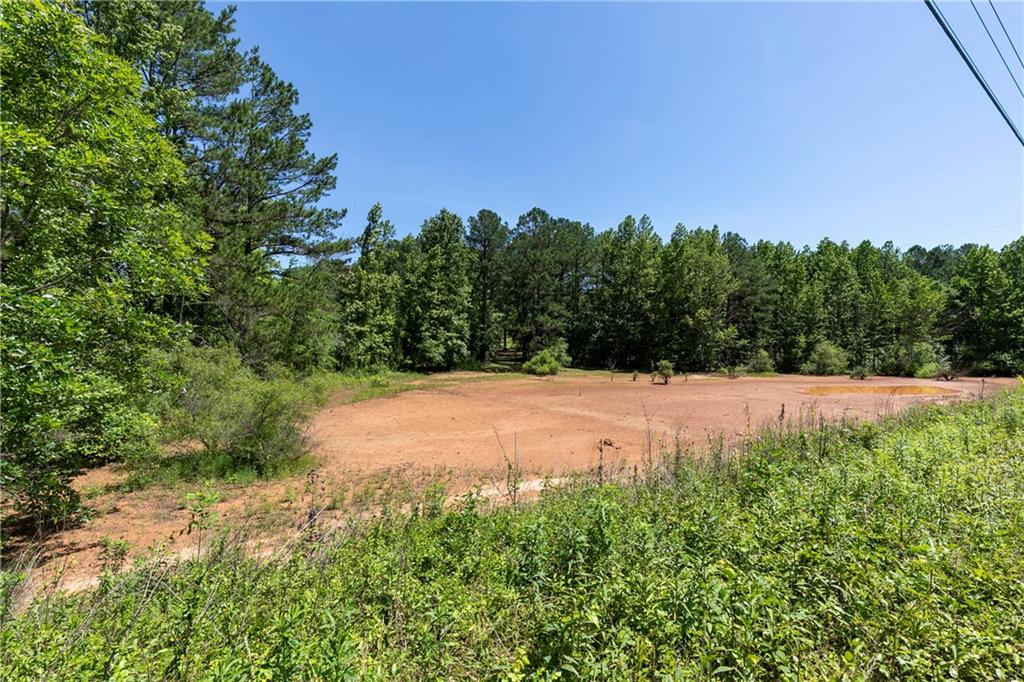 a view of a field of grass and trees