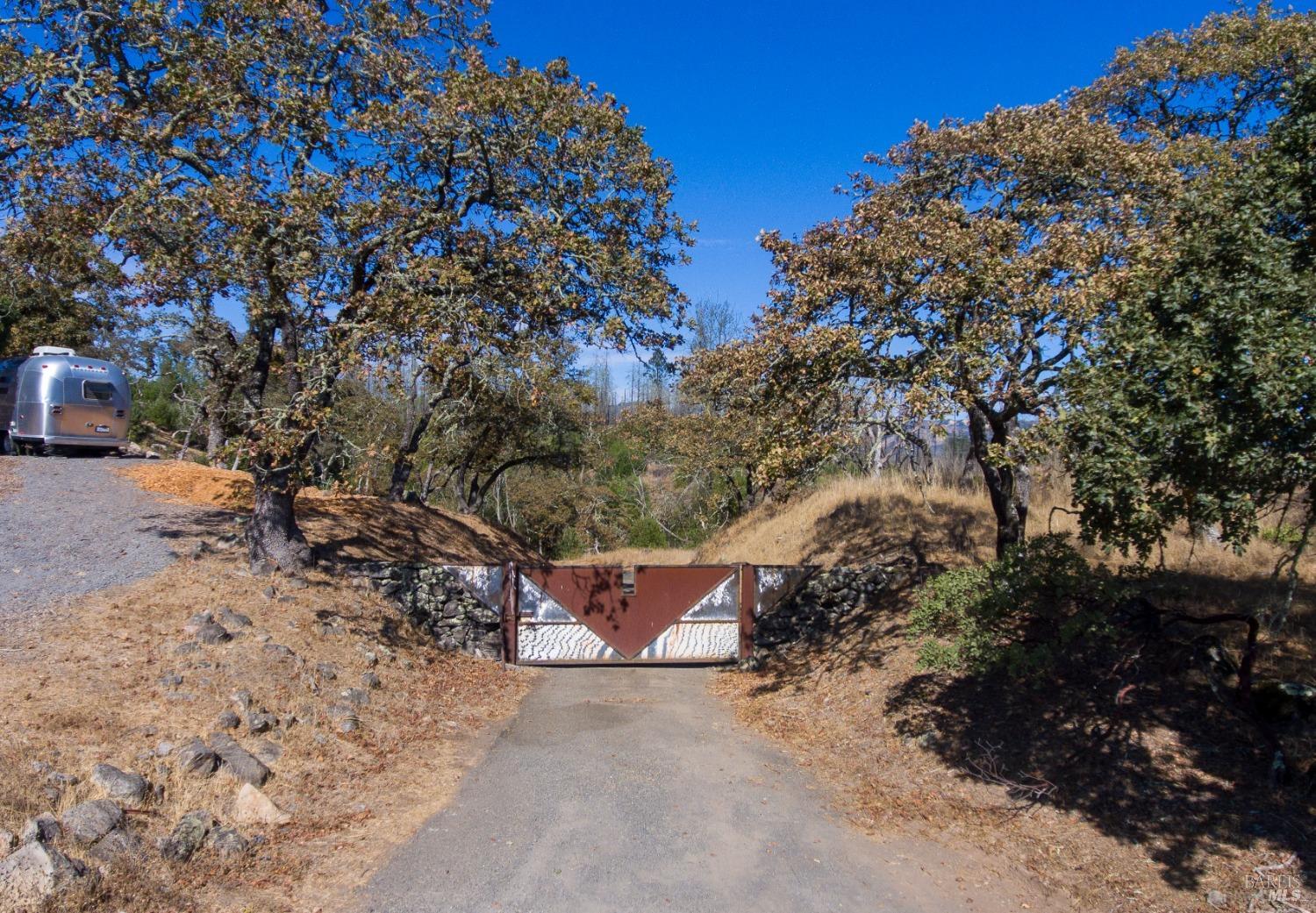 a view of a road with a tree in the background