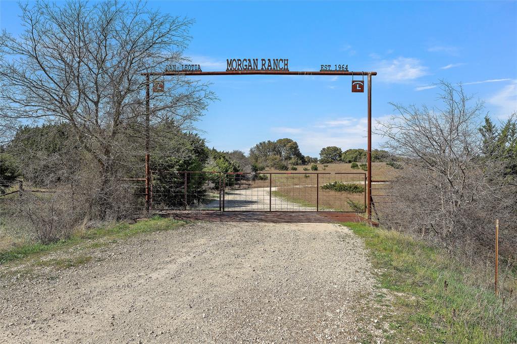 a view of a pathway with a wrought fence