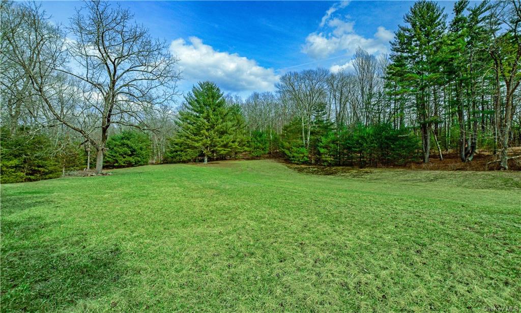 a view of an outdoor space and yard