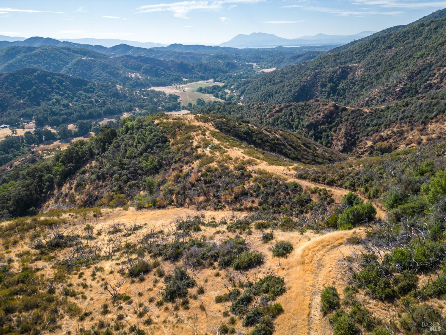 a view of a dry yard