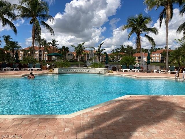 a view of a yard and palm trees