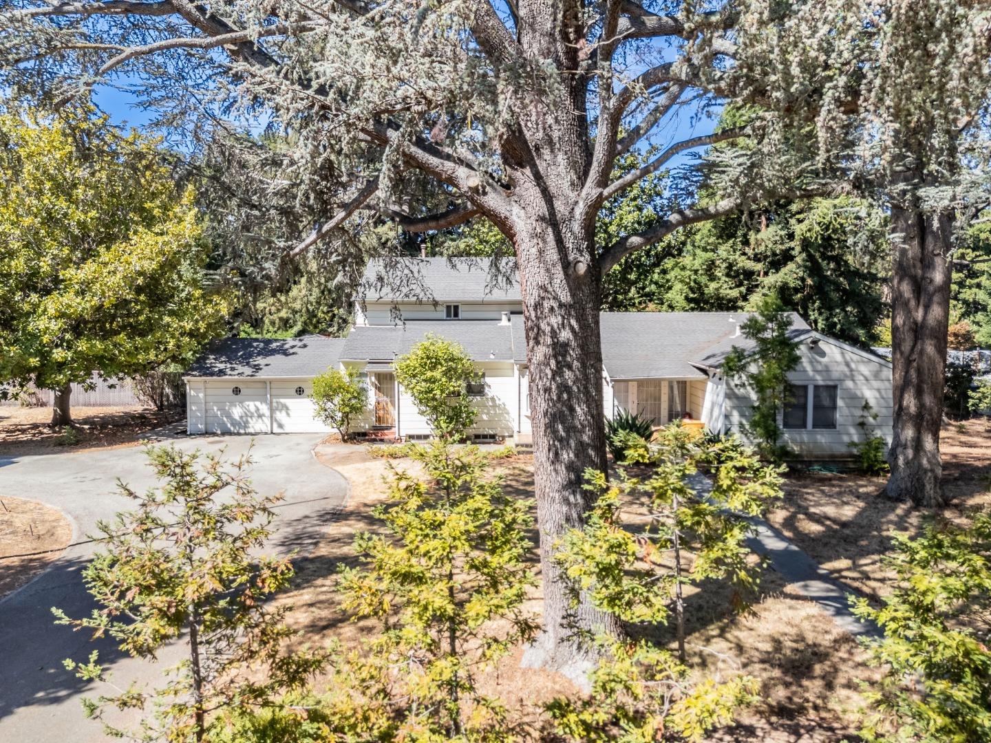 a tree in the garden of a house