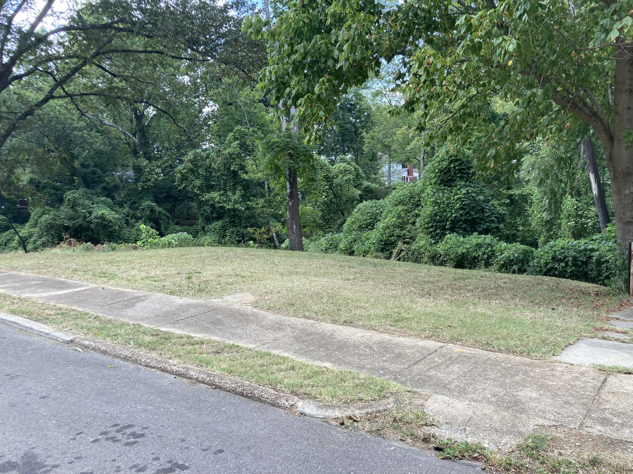 a view of a yard with a tree