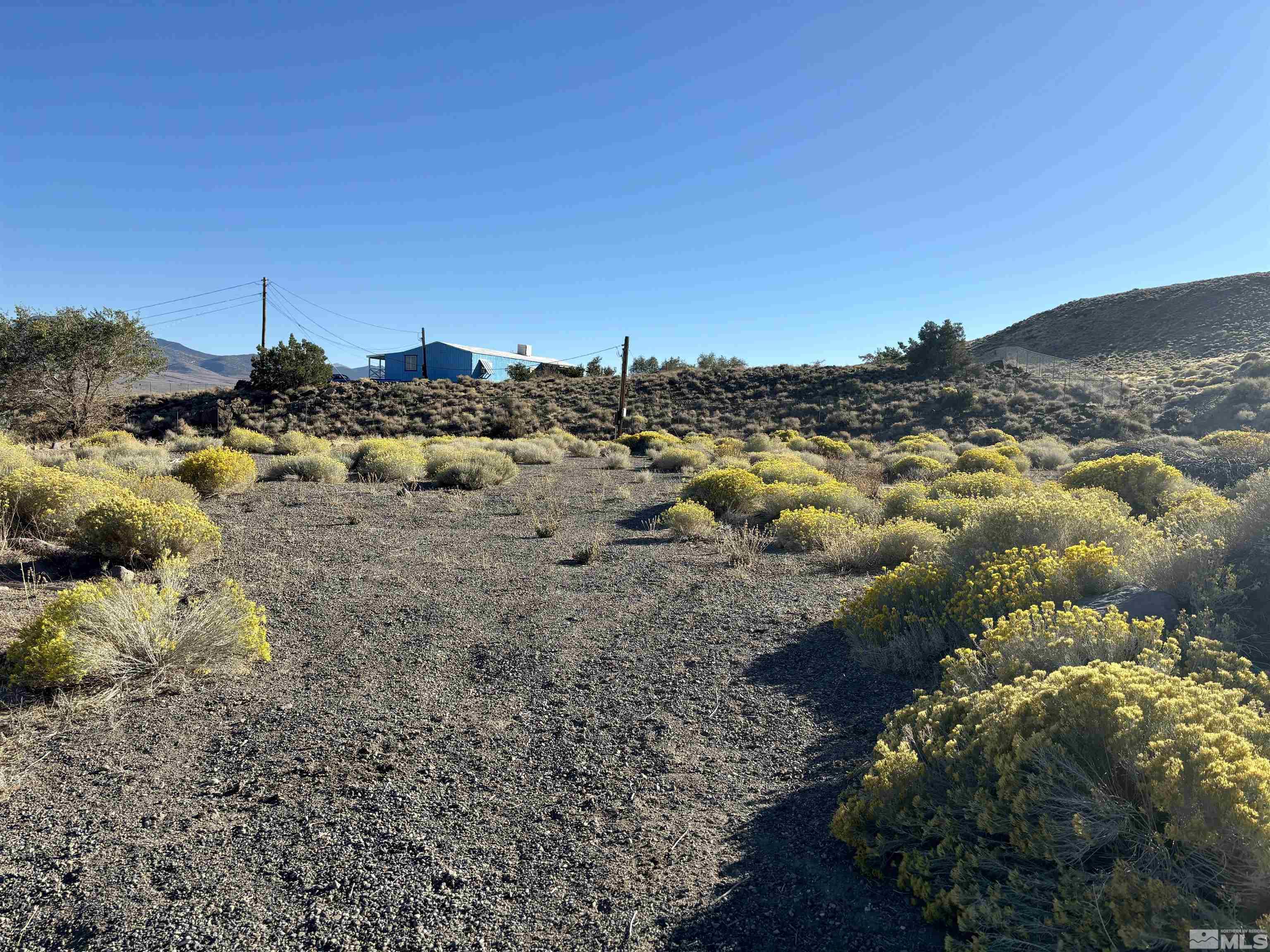 a view of a dry yard with trees