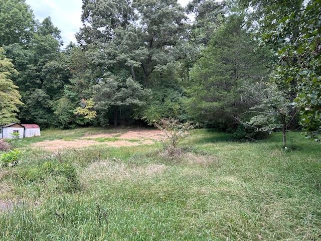 a view of backyard with green space