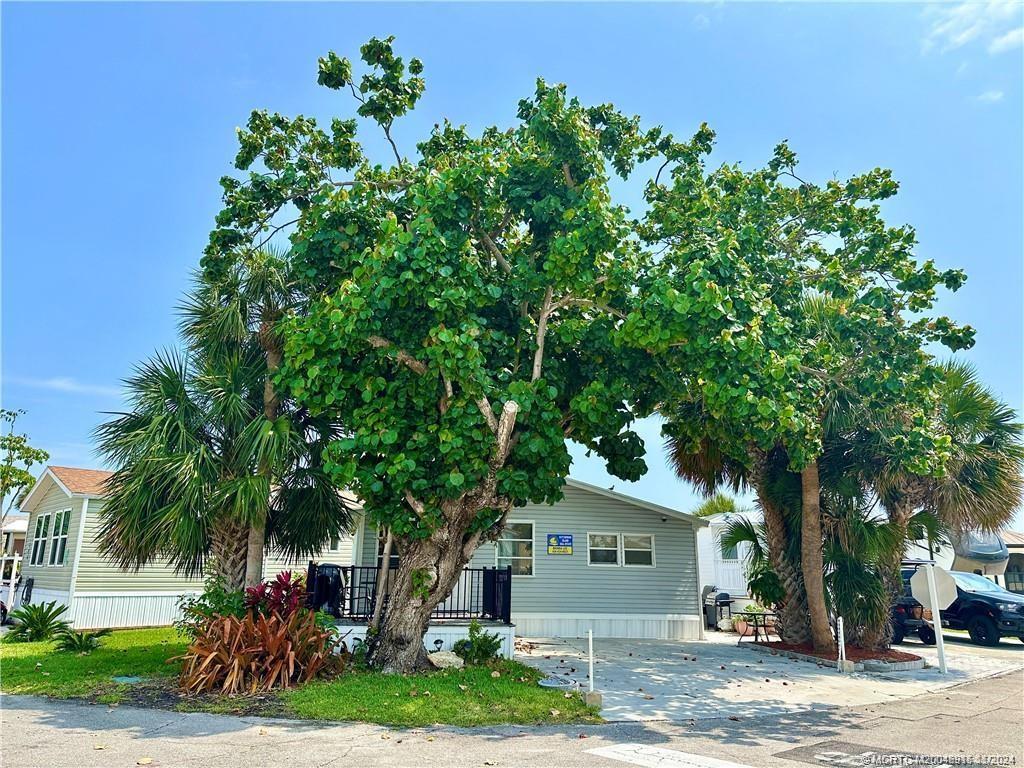 front view of a house with a tree