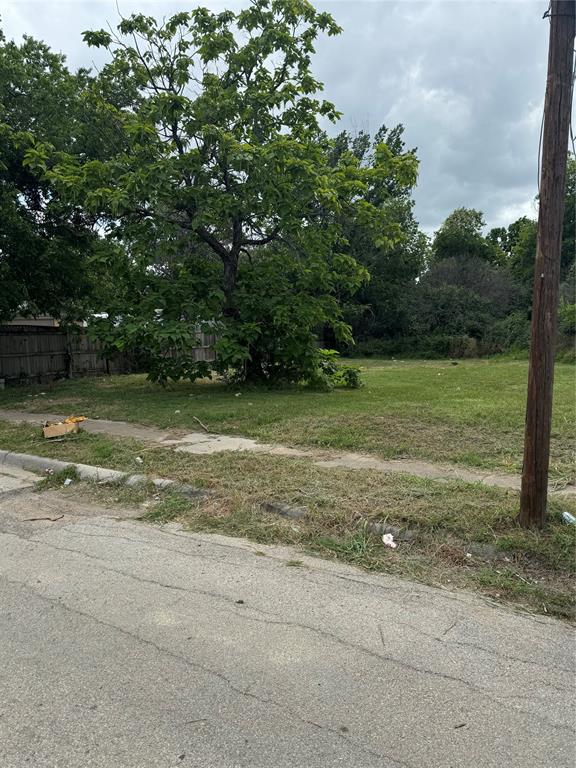 a view of a field with a tree