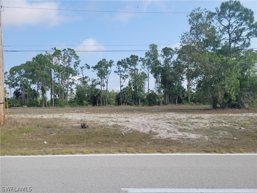 a view of a dry yard with trees