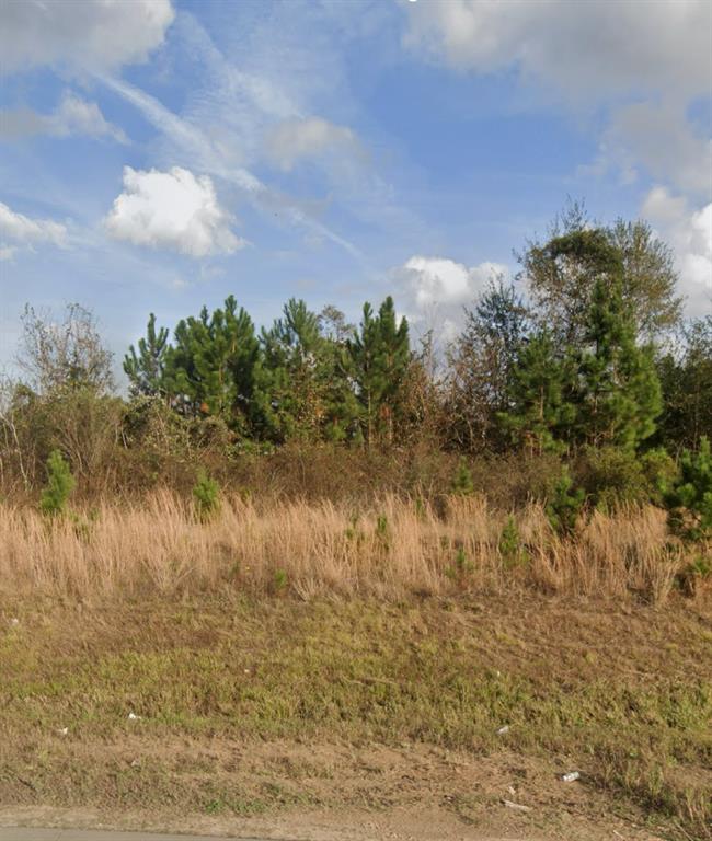 a view of a lake from a yard