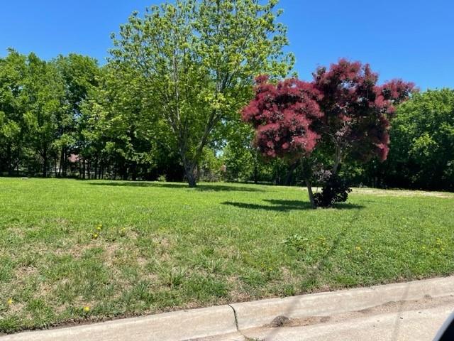 a view of a garden with a tree