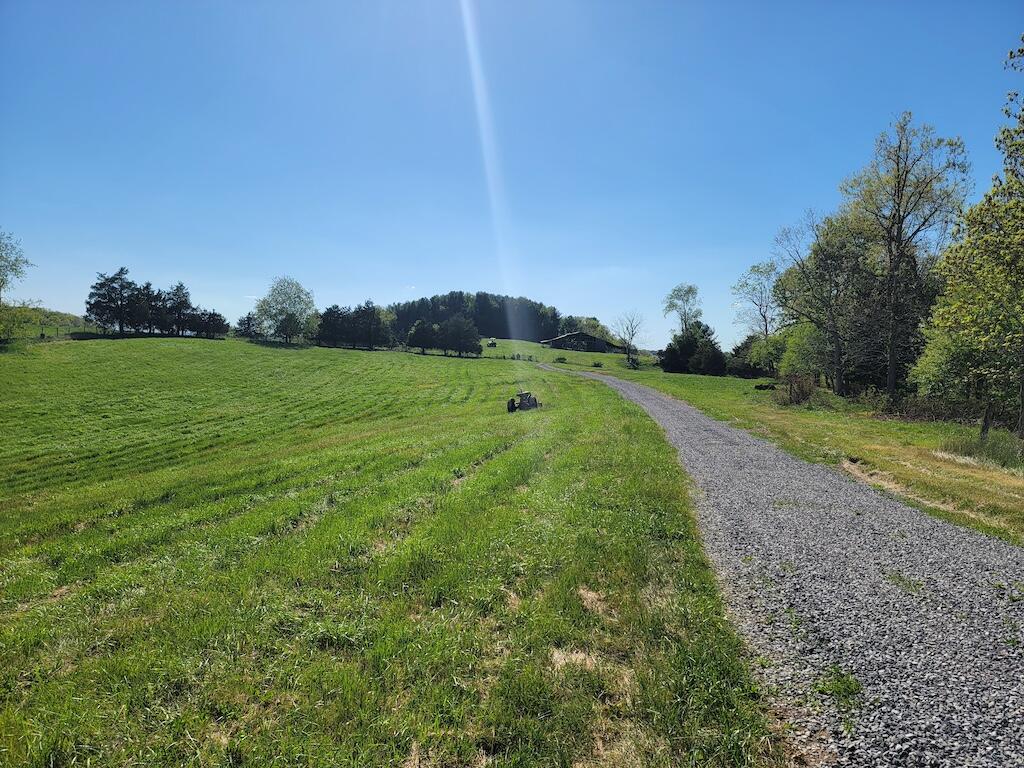 a view of a grassy field with trees