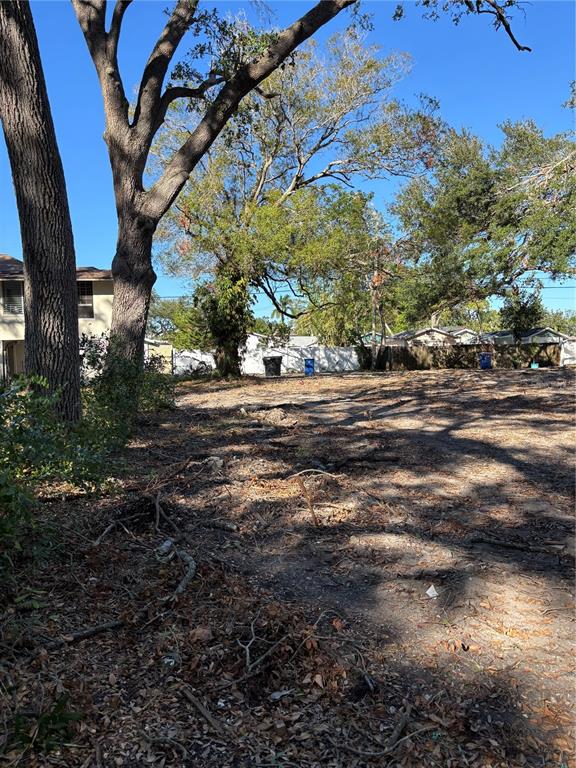 a view of a yard with a tree