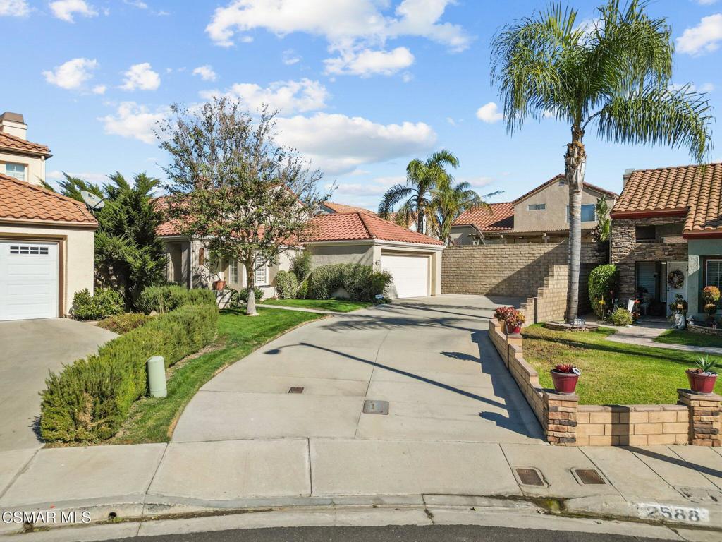 a house with palm tree in front of it