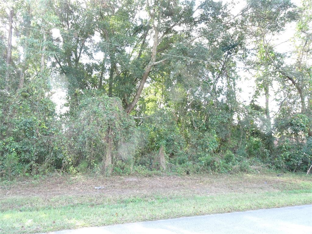 a view of a yard with trees