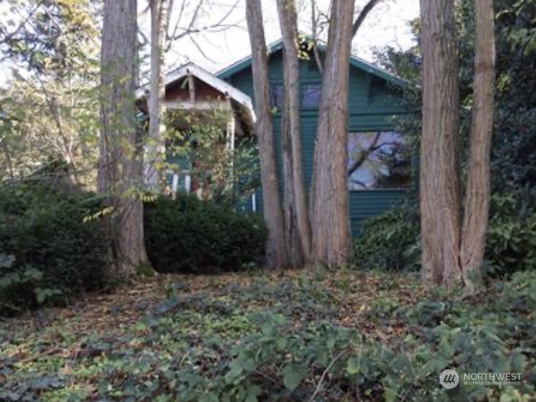 a view of a front door and a tree