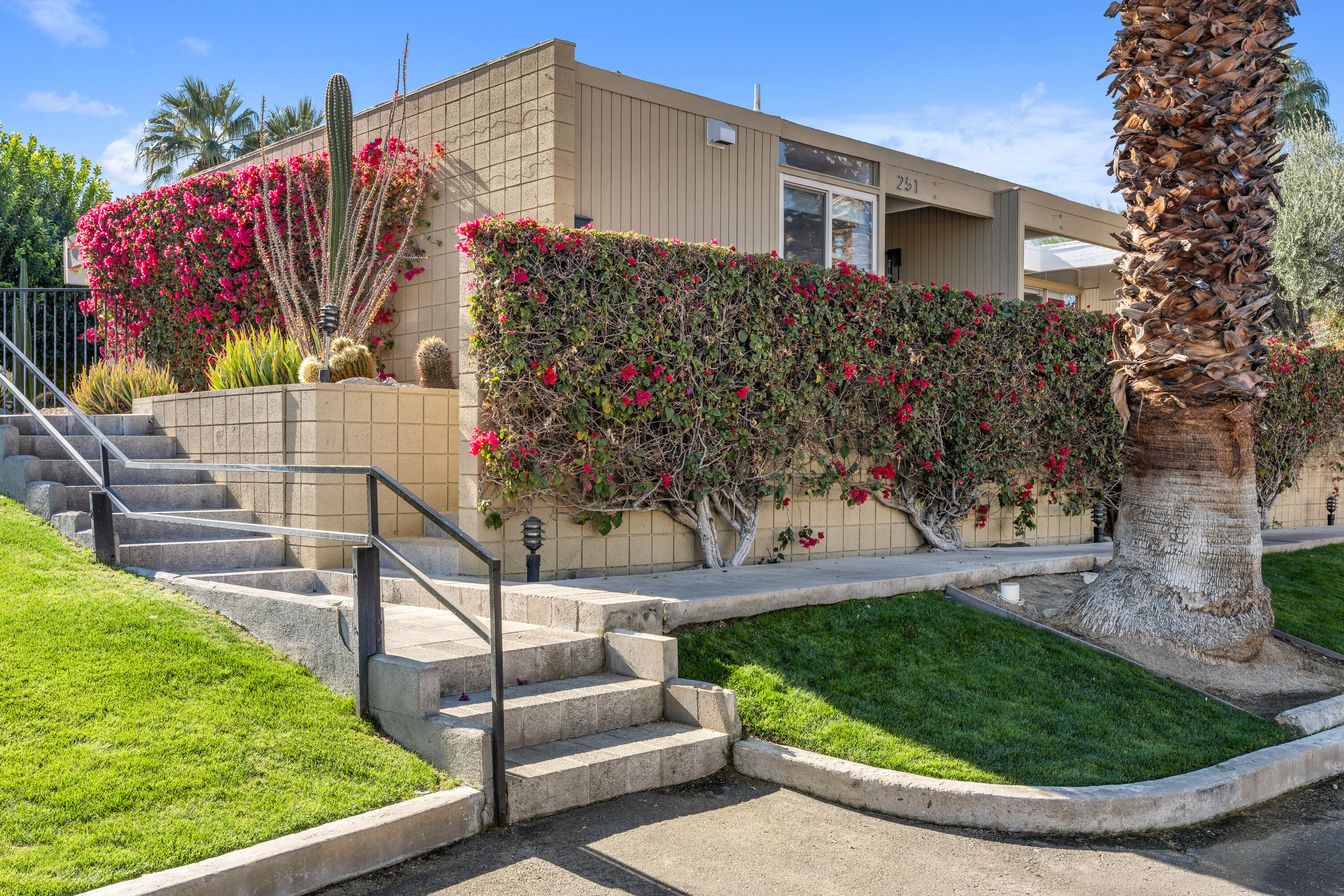 a view of a house with a yard and potted plants