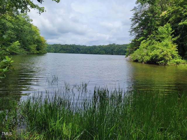 a view of a lake view with a garden