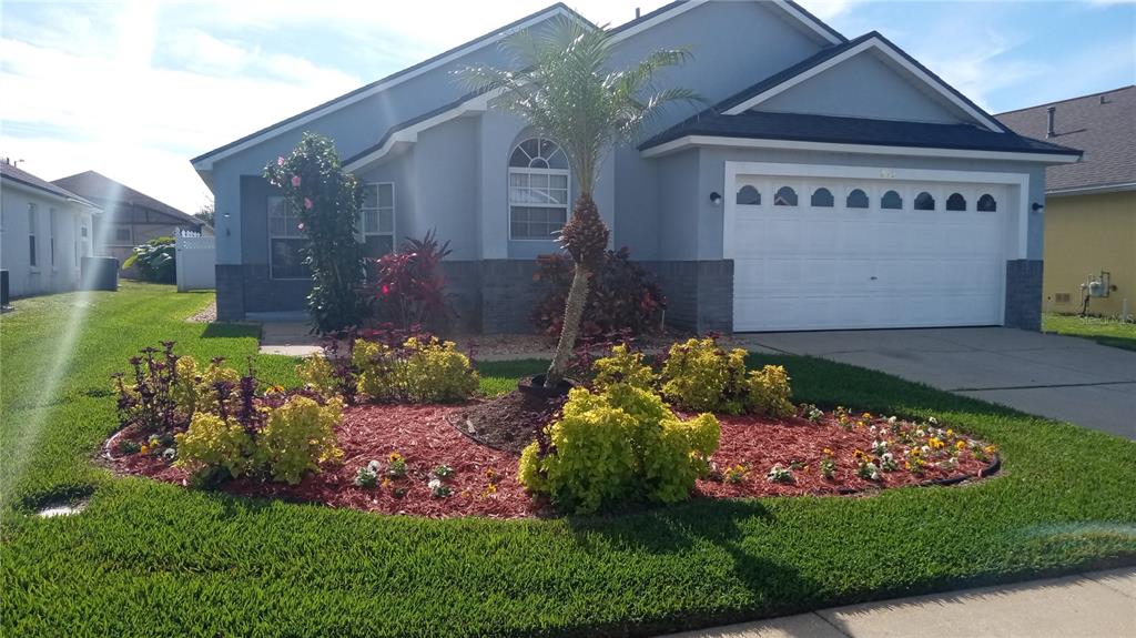 a view of a back yard of the house