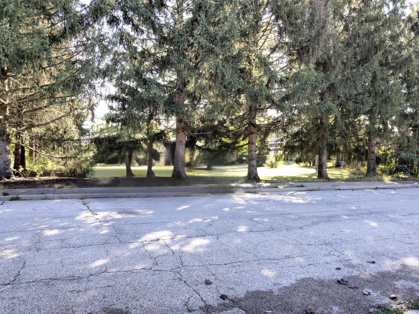 a view of outdoor space with trees